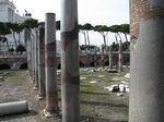 SX31333 Columns on Trajan's Forum.jpg